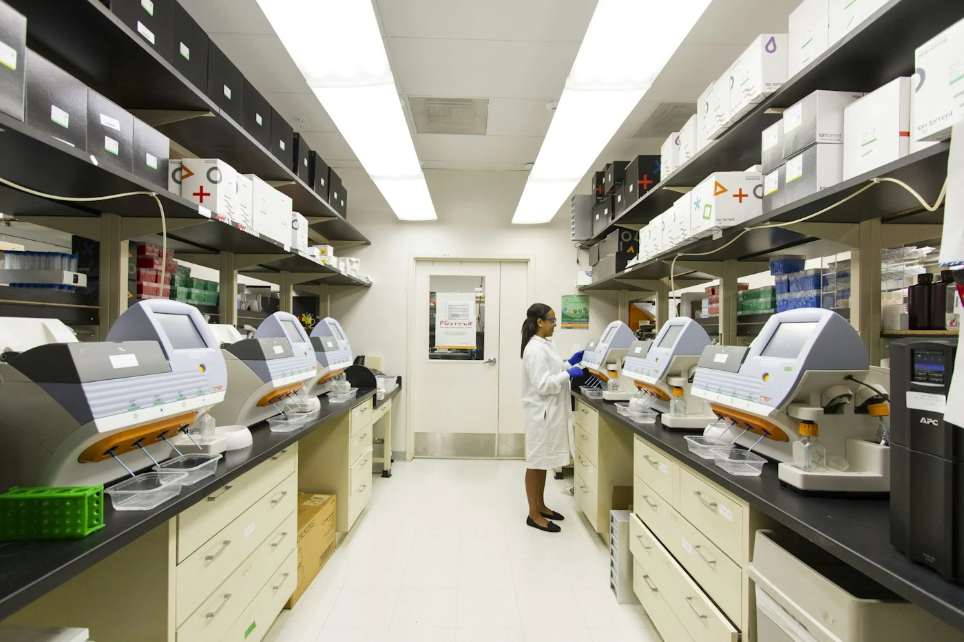 Microbiología y resistencia bacteriana